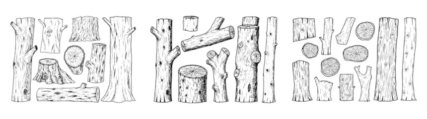 Vector outlines of wooden elements featuring trunks and knots.