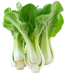 Fresh Bok Choy Isolated On White. Healthy, Nutritious Leafy Greens For Cooking And Eating!
