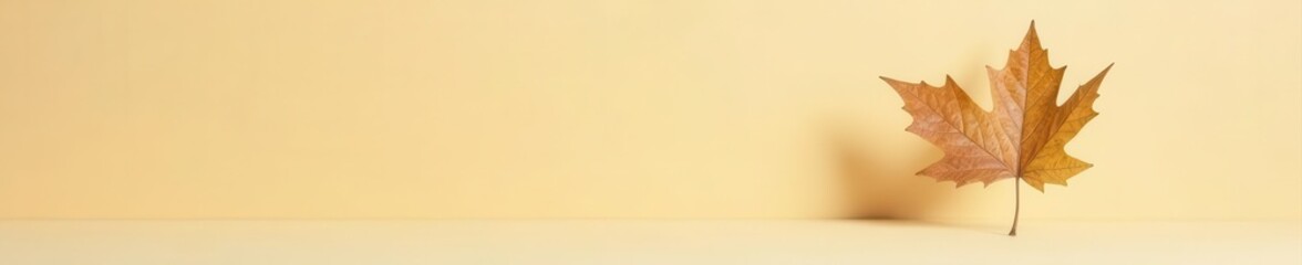 Fototapeta premium Single dried leaf, subtle shadow, beige backdrop Minimalist botanical still life , fall, nature, vintage