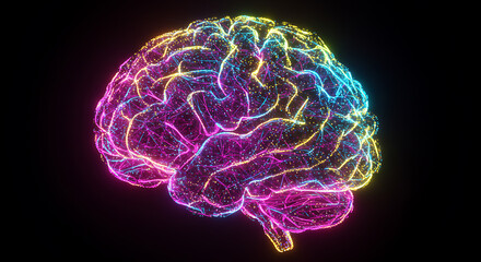 Abstract Neon Brain Colorful Neural Network Glowing Human Brain Anatomy