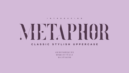 Methapor: Trendy display classic serif typeface. Modern vintage alphabet collection. Regular typography uppercase, lowercase and number. Vector illustration