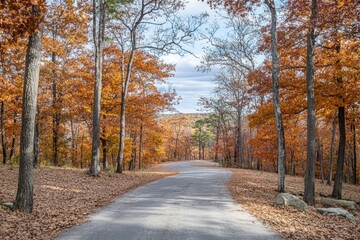 Obraz premium Autumnal forest road