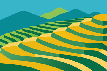 rice terraces in the morning