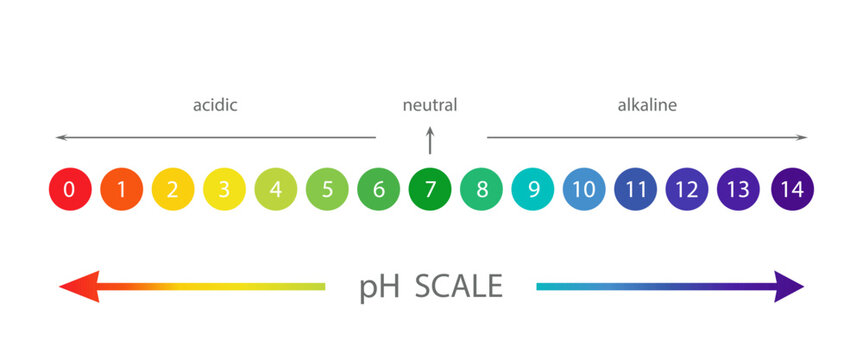 PH Scale diagram. Gauge for acid and alkaline balance. Chemical analysis or test. Vector illustration isolated on white background.