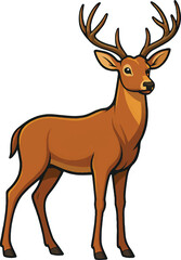 Deer