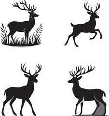 Deer 