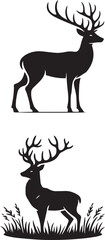 Naklejka premium Deer 