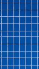 Blue wire grid pattern  images, east asian, photos, vertical, isolated assets, south asian indigenous hispanic or latinx illustration, 