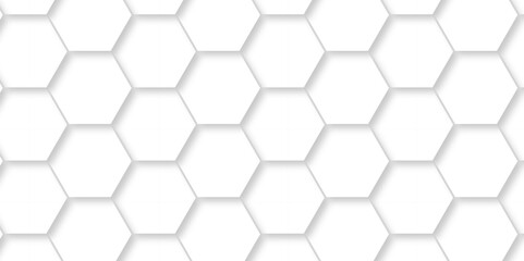 Abstract minimal Background with white lines Hexagonal structure futuristic white background and Embossed Hexagon , honeycomb white mosaic cell web ,light and shadow texture design.	
