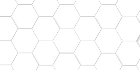 Abstract minimal Background with white lines Hexagonal structure futuristic white background and Embossed Hexagon , honeycomb white mosaic cell web ,light and shadow texture design.	
