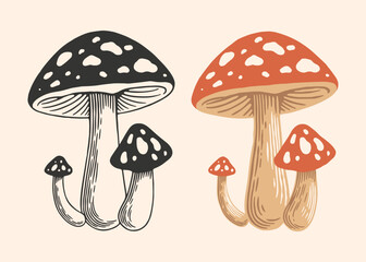 Hand Drawn Mushroom Illustration