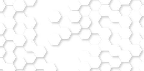 	
Abstract minimal Background with white lines Hexagonal structure futuristic white background and Embossed Hexagon , honeycomb white mosaic cell web ,light and shadow texture design.