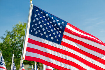 Obraz premium American Flags on Memorial Day