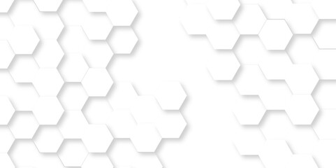 	
Abstract minimal Background with white lines Hexagonal structure futuristic white background and Embossed Hexagon , honeycomb white mosaic cell web ,light and shadow texture design.