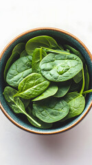 High-resolution image of fresh spinach in bowl, captured in a minimal flat lay or isolated setting