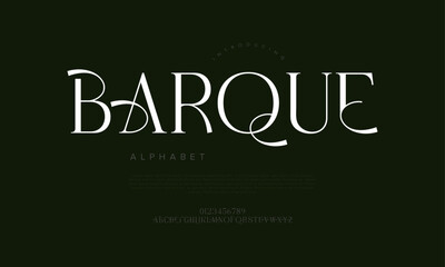 Unique serif font with artistic curves and fine contrast, ideal for high-end branding and design