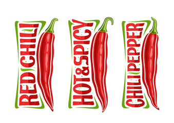 Vector red Chili Pepper set