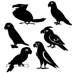 black parrot illustrator image arts, icons and graphics and a set of file