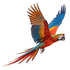Obraz premium Beautiful Macaw with Open Wings - High-Quality PNG