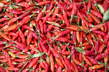 Fresh Red and Green Chili Peppers - Organic Spicy Vegetables