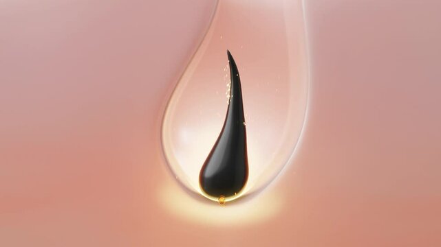 Hair regrowth and root stimulation with golden serum and scalp essence, 3D cross-section