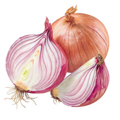 Fresh Red Onion PNG: Whole & Sliced Isolated on White