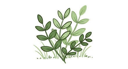 Lush Green Foliage Hand Drawn Botanical Illustration Spring Greenery Nature Illustration Leaves