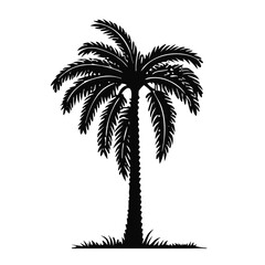 palm tree silhouette