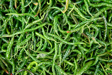 Large Pile of Fresh Green Chilies in a Cardboard Box