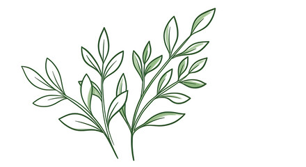Elegant Green Greenery Botanical Illustration Leaves Branches Nature Design Element