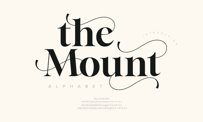 Luxurious serif display font with flowing ligatures and bold elegance, perfect for branding and invitations
