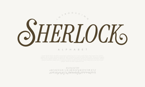 Vintage serif font with dramatic curves and elegant character, ideal for editorial titles and classic branding