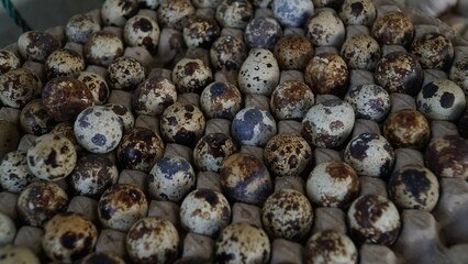 These eggs are small, have thin skin with brown spots, and have a savory taste and high nutritional content.