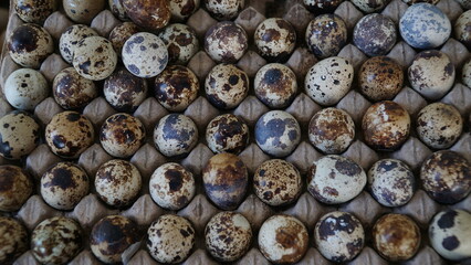 These eggs are small, have thin skin with brown spots, and have a savory taste and high nutritional content.