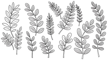 Collection of Hand Drawn Botanical Line Art Elegant Sprigs and Leaves Illustrations