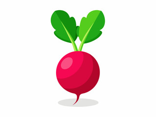 radish