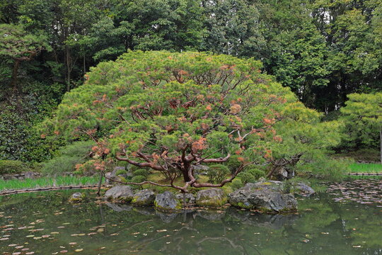 Heian Shrine, Shinto shrine and landscaped gardens at Okazaki Nishitennocho, Sakyo Ward, Kyoto, Japan