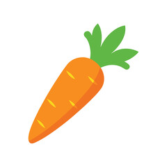 carrot vector illustration
