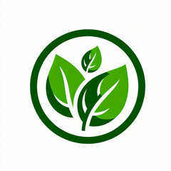Eco Leaf Logo Design
