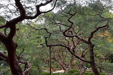 Heian Shrine, Shinto shrine and landscaped gardens at Okazaki Nishitennocho, Sakyo Ward, Kyoto,...