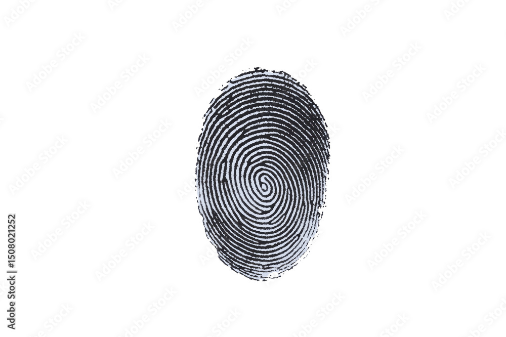 Poster high resolution image of a detailed human fingerprint transparent background ideal for security or i