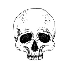 Half human skull Graphic illustration, front full face with white plate. Gothic's concept for Halloween design, Day of the Dead, for textile, packaging, stationery, apparel. Black hand drawn vector