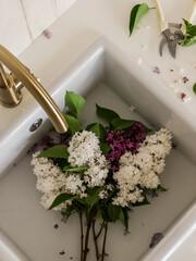 A bouquet of lilacs in a ceramic sink in the kitchen. Creative concept
