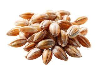 Barley grains isolated transparency background, showcasing their unique texture and color, perfect for various culinary uses and brewing applications. These grains symbolize nourishment