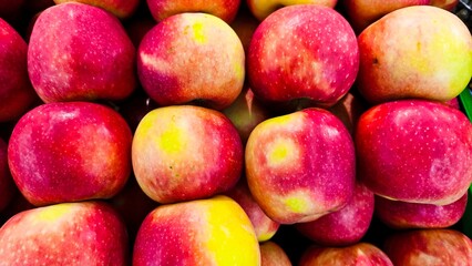 Multicolored apples on maple leaves full frame background texture. Autumn concept. Top view Flat lay