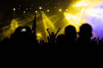 Crowd at concert and blurred stage lights.