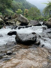 Crystal-clear river flowing over smooth rocks, framed by lush forest and misty mountain views.