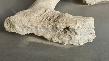 Pompeii, Italy - 8 January 2025. Close-up of the foot from a plaster cast of a Mount Vesuvius...