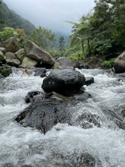 Crystal-clear river flowing over smooth rocks, framed by lush forest and misty mountain views.