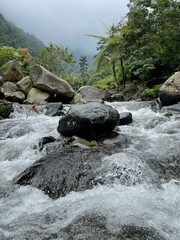 Crystal-clear river flowing over smooth rocks, framed by lush forest and misty mountain views.